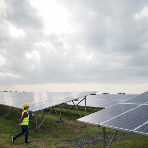 Untitled design (24)